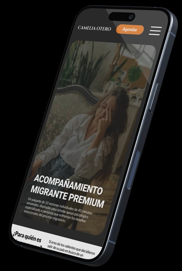 Portfolio preview